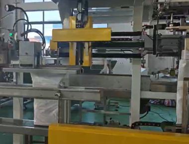 Качество  Dual-Lane Salt Packaging Machine Line - High-Capacity Salt Packaging Solution Фабрика