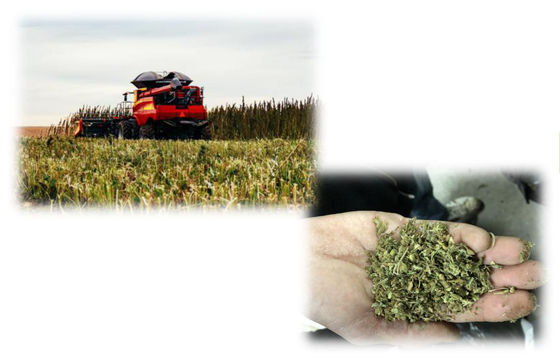 Машина извлечения извлечения CBD THC, оборудование извлечения малого масштаба CBD